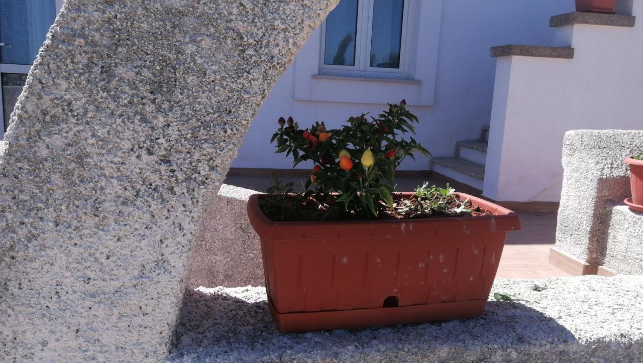 Villa Raffaella Spongano Exterior foto